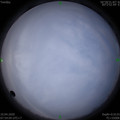 1586480057.jpg