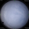 1586480117.jpg