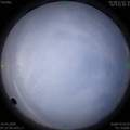 1586480237.jpg