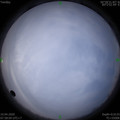 1586480297.jpg