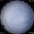 1586480357.jpg