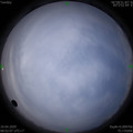 1586480537.jpg