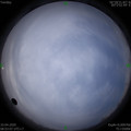 1586480597.jpg