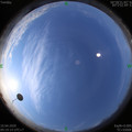 1586485175.jpg