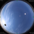 1586485595.jpg