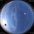 1586486075.jpg