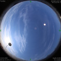1586486195.jpg