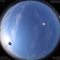 1586486420.jpg
