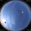 1586486781.jpg