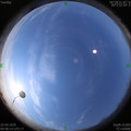 1586486901.jpg