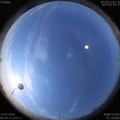 1586486961.jpg