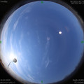 1586487261.jpg