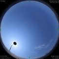 1586491223.jpg