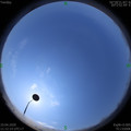 1586491943.jpg