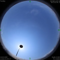 1586494824.jpg