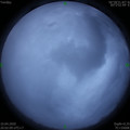 1586523744.jpg