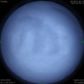 1586524284.jpg