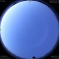 1586644448.jpg