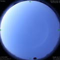 1586644673.jpg
