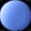 1586645079.jpg