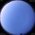 1586645334.jpg