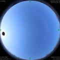 1586655239.jpg