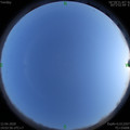 1586693057.jpg