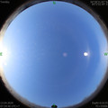 1586739295.jpg