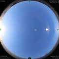 1586739355.jpg