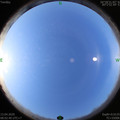 1586739775.jpg