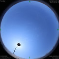 1586752772.jpg