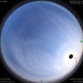 1586771366.jpg