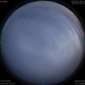 1586782036.jpg