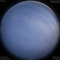 1586783117.jpg