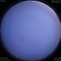 1586787934.jpg