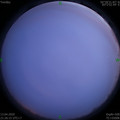 1586787994.jpg