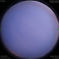 1586788264.jpg