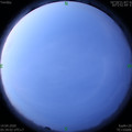 1586817559.jpg