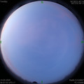 1586819239.jpg
