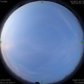 1586820095.jpg