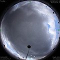 1587017539.jpg