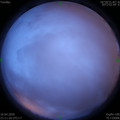 1587046308.jpg