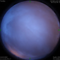 1587046368.jpg