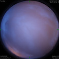 1587046428.jpg