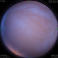 1587046489.jpg