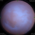 1587046804.jpg
