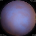 1587046984.jpg