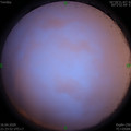 1587047044.jpg