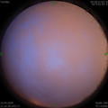 1587047239.jpg