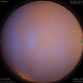 1587047299.jpg